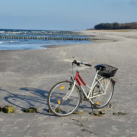 Achtern Diek 15a Whg 1 * Zingst