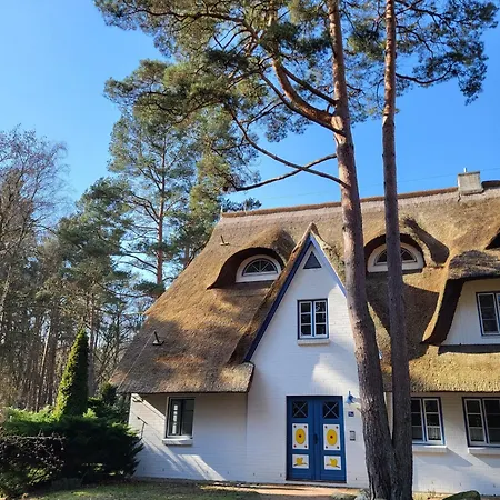 Achtern Diek 15a Whg 1 Zingst