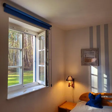 Achtern Diek 15a Whg 1 * Zingst