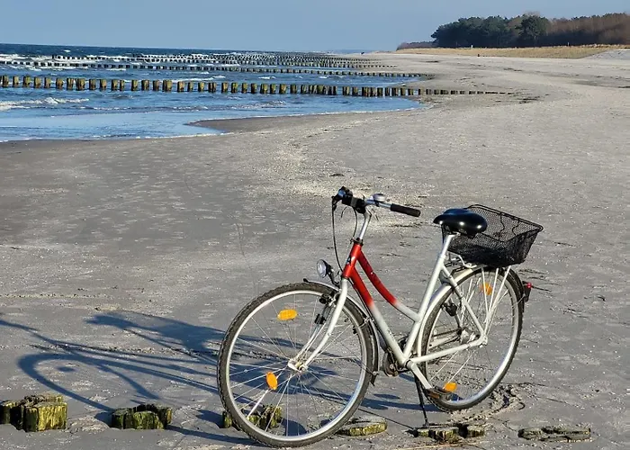 Achtern Diek 15a Whg 1 * Zingst