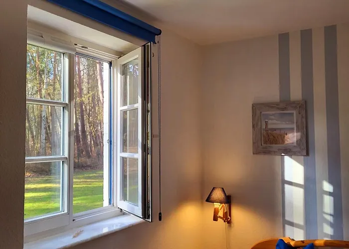 Achtern Diek 15a Whg 1 * Zingst