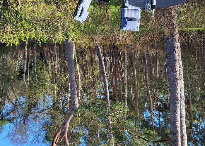 Achtern Diek 15a Whg 1 Zingst